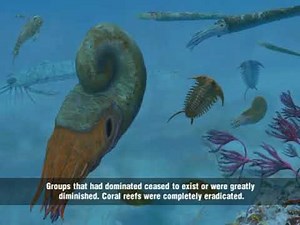 Life Diversifies on Land: Carboniferous Forests to Triassic Reptiles