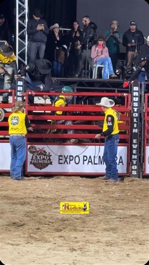 REVISTA É RODEIO | Fabrício Pereira x Navio Fantasma da @cia.lrbulls Nota: 86,00 pts / Disputa Final Expo Palmeira 2025 ✨ Noite de segunda Circuito de... | Instagram