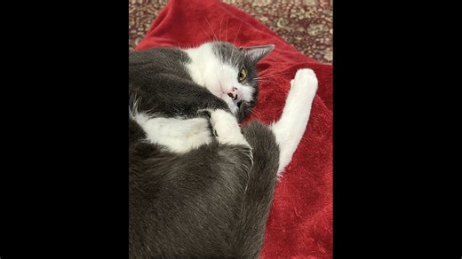 Episode 2947 CWSA 09/03/25