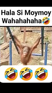 Sakit Tyan Ko kay Moymoy 🤣🤣🤣 #funnyreels | Dan Regala TV