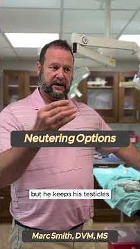 Neutering Options: What You Need to Know by Marc Smith, DVM, MS
