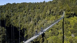 151K views · 1.3K reactions | The Timber Trail leads you through 85...