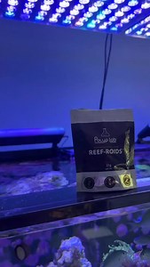 Reef-Roids the preferred choice of meat corals @irishshrimpguy #polyplab #reeftank #allmymoneygoestocoral #coralreef #corals #reefporn #corals #coralreef | Polyplab