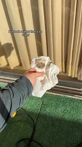 Get out your spring cleaning checklist 🌷✔️ Our steamers are here to do the heavy lifting! 😉 @followamyhere just got the 505e Handheld Steamer — the perfect chemical-free cleaning tool ✨ | Wagner Painting