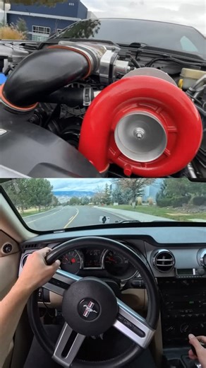 Four Eyes on Instagram: "supercharger sounds #mustang #mustanggt #3v #3valve #4point6 #sn95 #s197 #s550 #gt350 #gt500 #coyote #camaross #hellcat #c5 #zr1 #zo6 #supercharged #turbo #stustu #vortech #centrifugal #hptuners #turbosmart #bov"