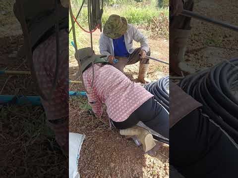 Watering system in integrated agricultural garden using solar energy #solarenergy