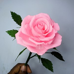 256K views · 4.4K reactions | SmirchS DIY Crepe Paper Rose How to Make Realistic Rose Flower with Crepe Paper Crafts #roses #craft #diy #handmade #paperflowers #papercraft #flowers #viral #trending #foryou #Amazing | SmirchS | Facebook