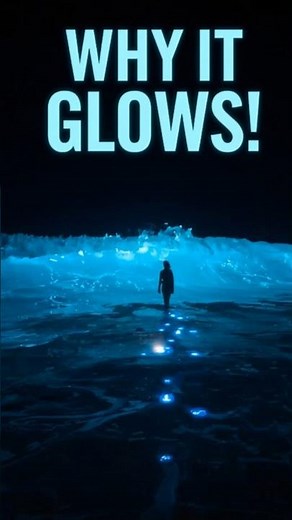Bioluminescent Beaches: Nature’s Glow-in-the-Dark Magic!