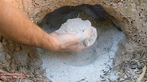 Primitive Technology Discovers How to Make Cement from Wood