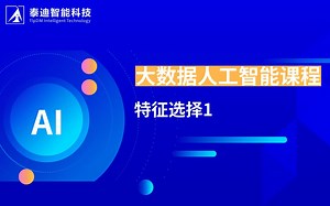 泰迪智能科技-机器算法学习-特征选择是什么-如何进行特征的选择