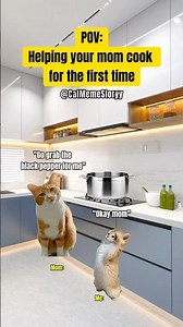 CAT MEME 🐱 Helping your mom cook for the first time. #catmemes #memes #relatable #relationship