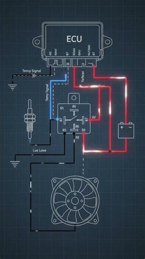 Wiring diagram of a fan relay, temperature sensor and ECU