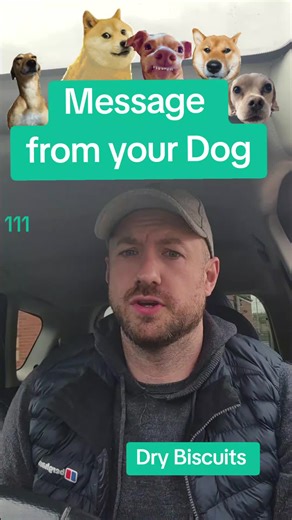How Dogs Communicate: Understanding Your Canine Friend