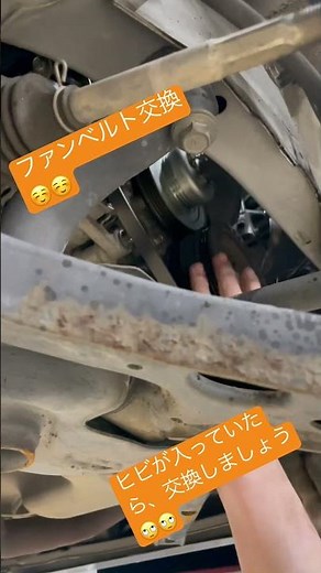 ファンベルト交換(*☻-☻*)
