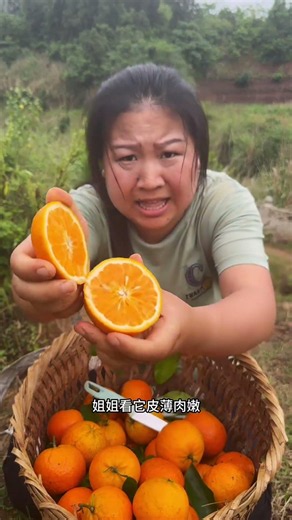 Can older brothers and sisters support their younger sister #Agriculture