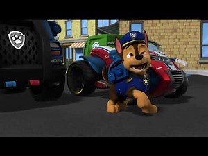 New Paw Patrol Clip: Chase Sneezing (Part 1)