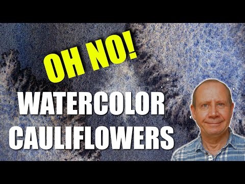 Watercolor cauliflower, what causes them so you don't! Fixing them. Watercolour tips for beginner.