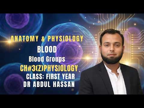 Blood Groups in Physiology: ABO and Rh System, Inheritance and Clinical Importance