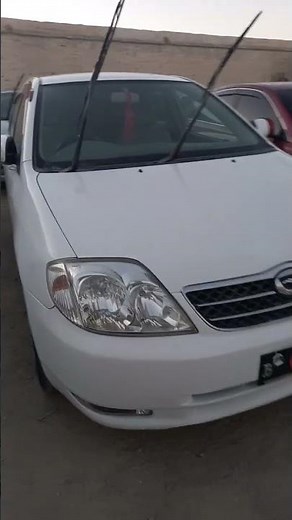 G Colla model 2003 perl white