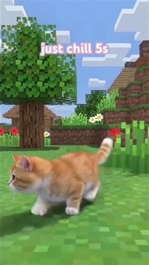playing minecraft #cat #animals #food #chill #cats #cat #cute #chill #funny #funnycats #kitten