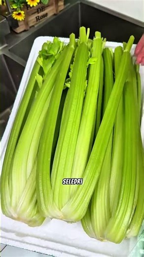 This vegetable is harvested from its stems. #celery #celery #plantation #gardening #vegetables #s...