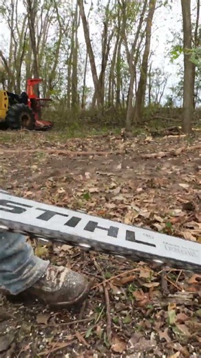 Saw Cam, using the tree saw as a pusher