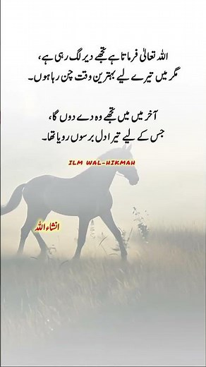 Beautiful Words #islamicvideo #islamicshorts #islamicreminder #muslimcontent #shortsfeed #shorts