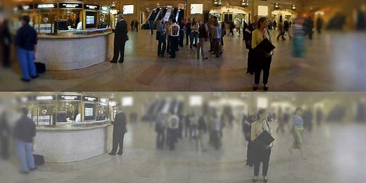 These amazing simulations show how cats see the world