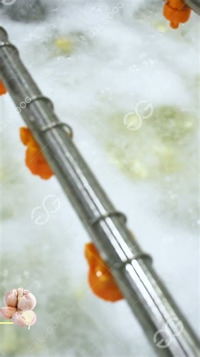 Garlic Processing Line
