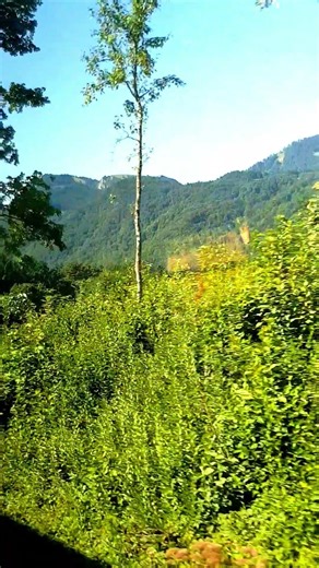 Train to the Alps | Beautiful Window View of the Mountains #shortvideo