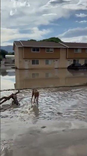 “This is the worst I’ve seen it in 30-plus years" Small Utah town fighting waist-high water