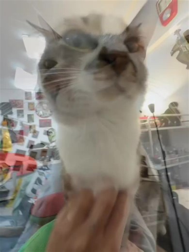 hello scratch scratch scratching asmr sound #scratchingasmr #asmrsounds