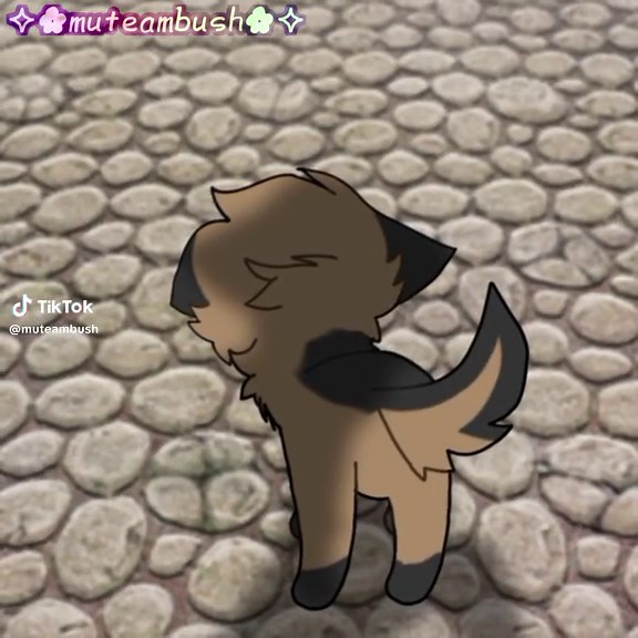 Animal TikTok Videos: Cat and Duck Encounters, Fox and Rabbit Attacks