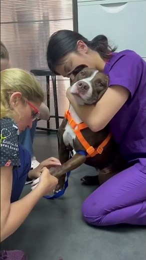 We Had Marla Do a Blood Test