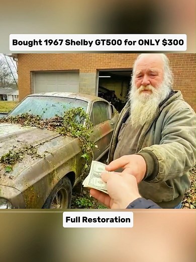 Restoring a 1967 Shelby GT500 for $300