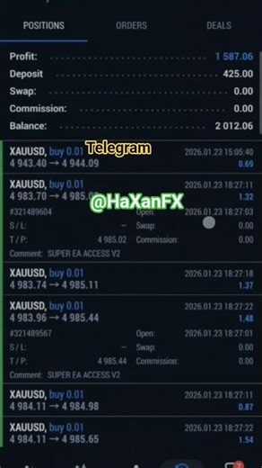 Grow up your daily income I'll manage your forex trading account mt4 and mt5 earn best profits 📈