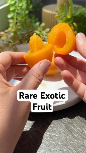 Rare Exotic Fruit #tropicalfruit #fruits