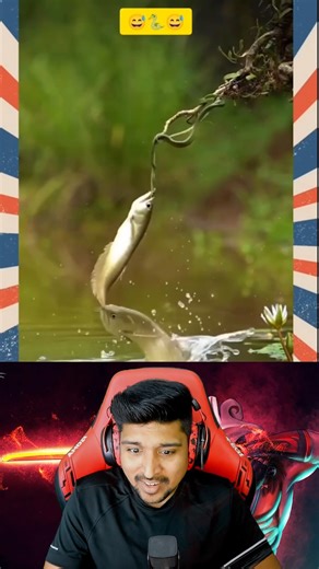 Prabhakaran P on Instagram: "🤣🤣Funny meme reaction Full video in Midfailreaction YouTube channel 😂😂 . . . . . . . . . "This content is used under fair use (Section 107 of the Copyright Act) for purposes such as criticism, commentary, news reporting, teaching, scholarship, and research." If you want to take down this video reach out to midfail.ads@gmail.com Thanks for visiting my page"