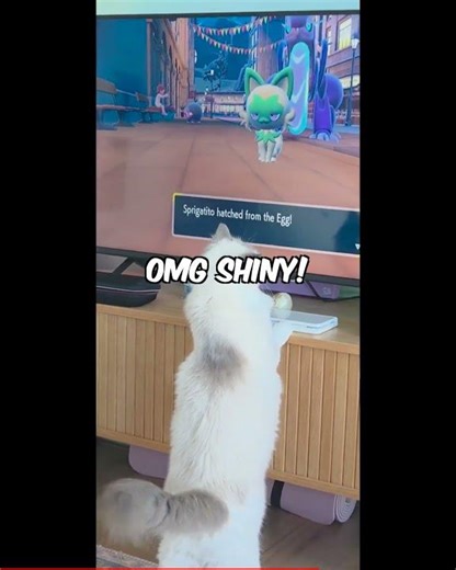 My Cat's SHINY Pokmon Luck!