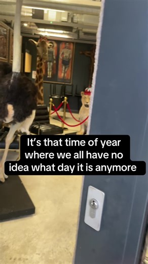 Tattoo Studio Chesterfield Holy Spirt Tatoo Book your 2026 appointment - for contact details click the link in our bio #tattoo #tattoostyle #tattooart #inkedlife