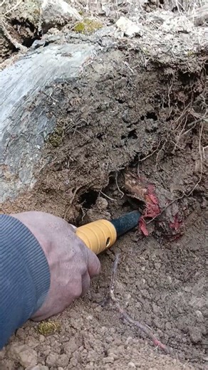 Detecting Pinpointer Under Ground Object #detectingpinpointer #objectdetectingpinpointer #metaldetecting #huntingmetal | Gold Field Hunting