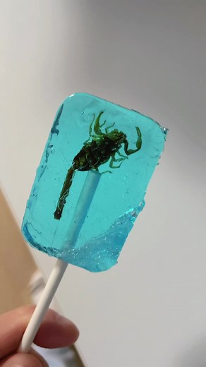 곤충 사탕: 맛있는 신사장과 띠미 곤충사탕