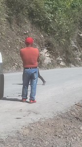 Solitario Musical on Reels