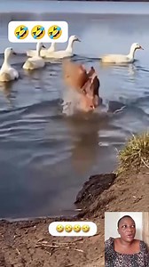 What were you expecting 🤣🤣 | Irresistiblecake/funnyv