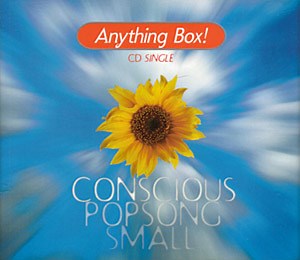 Anything Box - Conscious, Popsong, Small