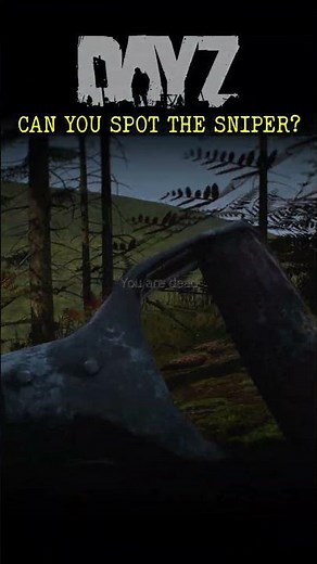 DayZ - Spot the SNIPER - Cobra