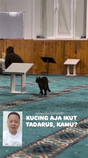 Even cats participate in the Quran recitation, what about you? #tadarus #oneday10ayat #lifewithal...