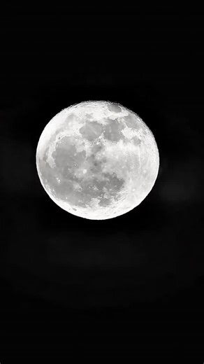 Mandrágora ad astra | 🌖 #moon #moonphotography #moonlight #astronomy | Instagram