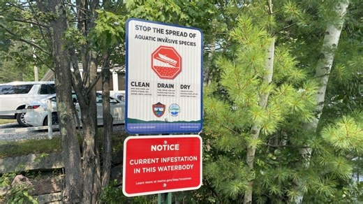 Invasive plant threatens Maine lakes, spreads to eight bodies of water
