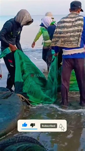 CAN’T BELIEVE THIS!! 😱🐟#fishing #beachfishing #netfishing #hugecatch #viralvideo